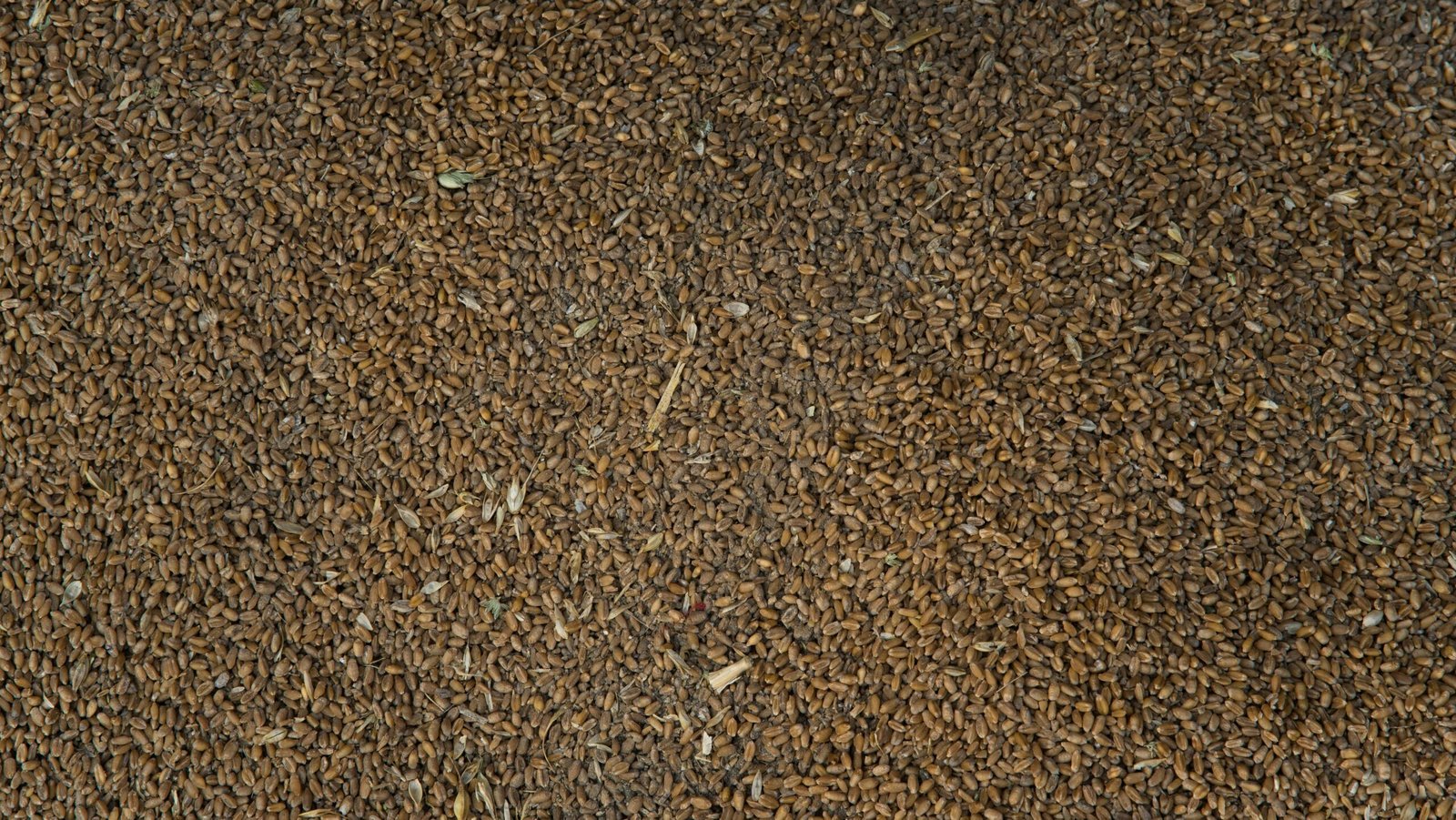 a close up of a brown carpet with a small amount of dirt on it